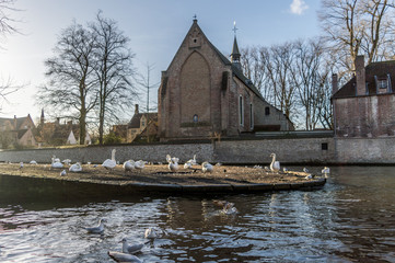 Fototapeta na wymiar Convent of Sancta Elisabeth Sauve Garde along the river with white swans swimming in the medieval city of Bruges, Belgium