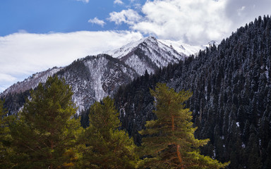 Сaucasian spring mountains with snow peaks, panorama. Dombai, Russia.