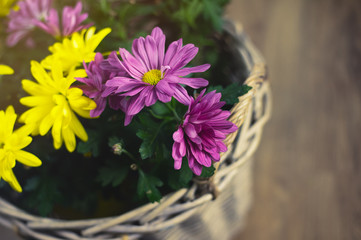 Wooden basket on floor with colourful flowers