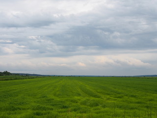 Obraz premium Beatitude