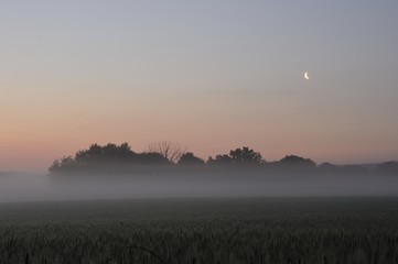 Morgennebel in Brandenburg, weite Wiesen und Felder liegen kurz vor Sonnenbaufgang im Bodennebel