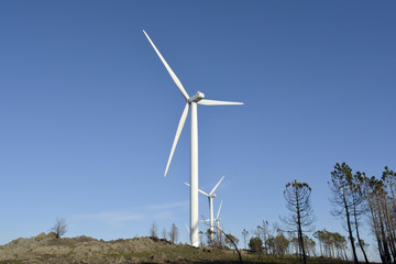 Wind Farm