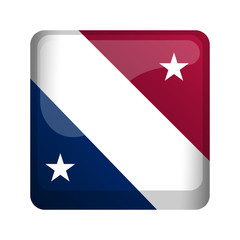United States campaign button