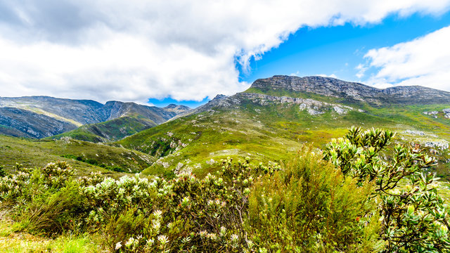 Spectacular View of Detoitsriver Gorge near the highest point of Franschhoek Pass, or Lambrechts Road, which runs between the towns of Franschhoek and Villiersdorp in the Western Cape of South Africa