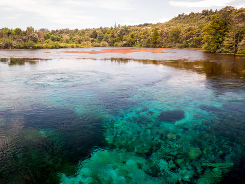 View of Te Waikoropupu Springs, Also Known as Te Pupu Springs located in Golden Bay, on New Zealand's South Island