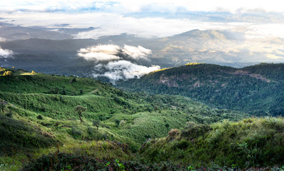 Fototapeta premium landscape hill in morning and fog sky and cloudy