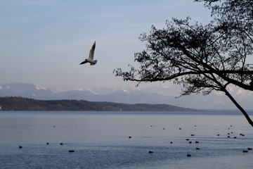 Starnberger See