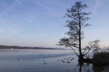 Starnberger See