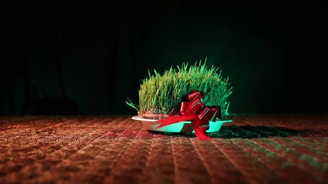 Traditional Novruz holiday`s sight of spring coming Samani growing on plate on eastern carpet background. Holiday of Azerbaijan.  Growing green grass plant. Slider shot