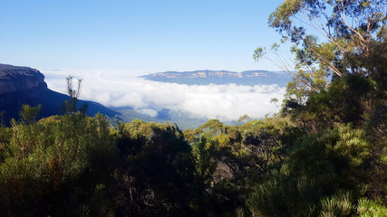 The "Blue Mountains" Above Clouds