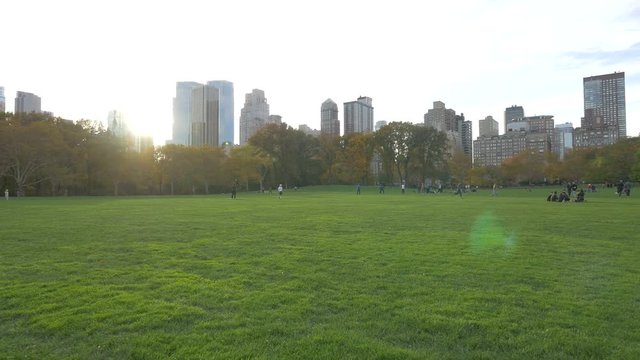 People playing Frisbee on a green lawn