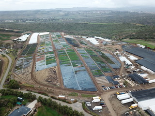 plants aerea view in oceanside