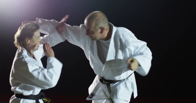 Two martial artists practicing on a mat.