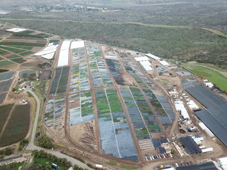 plants aerea view in oceanside