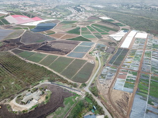 plants aerea view in oceanside