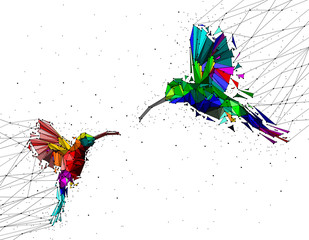 Abstract of Low poly couple hummingbird with point connecting network,animal geometric concept,vector.	