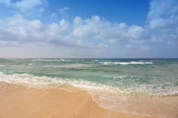 Fototapeta na wymiar Beach Pacific Ocean