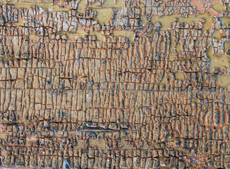 Old wooden background with remains of pieces of scraps of old paint on wood. Texture of an old tree, board with paint, vintage background peeling paint. old blue board with cracked paint, vintage