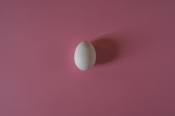 White egg on a pink background top view