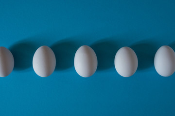 White eggs on a blue background top view