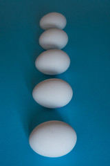White eggs on a blue background top view