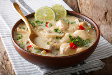 Fresh spicy Thai soup tom kha gai from chicken with vegetables with coconut milk close-up. horizontal