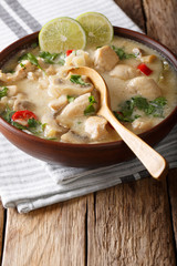 Delicious homemade Thai chicken soup tom kha gai close-up in a bowl. vertical