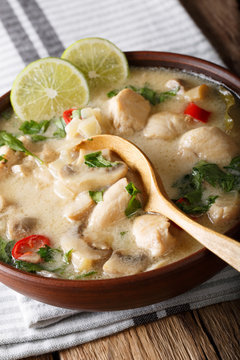 Thai chicken soup tom kha gai close-up in a bowl. vertical