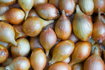 fresh onions, onion background, lots of onions