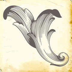 Vector baroque of vintage elements for design. 