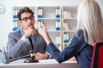 Lawyer discussing legal case with client