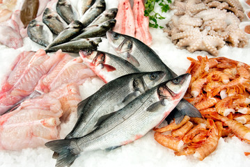 Different kinds of fish on market display