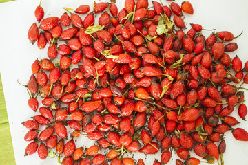 dog-rose red dry fruit