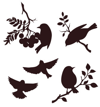 Decorative set of birds sitting on twig of tree. Vector silhouette