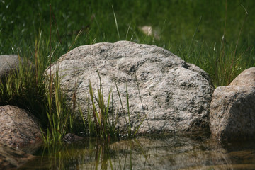 grauer Stein mit grünen Gräser und Gewässer