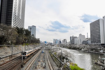 春の飯田橋