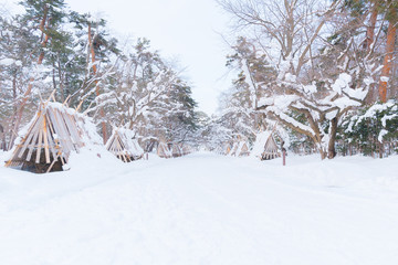 Walkway cover by snow