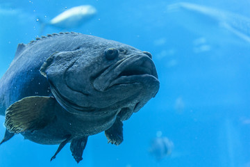 何か用事かい？