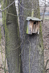 Old bird booth hung on tree trunk.