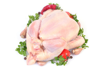Fresh chicken with vegetables on a white background
