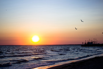 Fototapeta na wymiar beautiful fire sunset on the sea coast, with birds flying to the sun