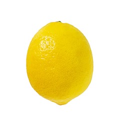 The  lemon isolated on white background