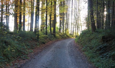 Obraz premium Straße