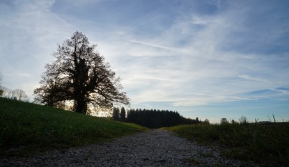 Feldweg