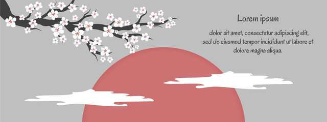 Sakura cherry blossoms on a red sun with text. White cherry flower blossom branch, peach bloom, sakura branch. Blooming Asian nature. Vector illustration. © Natalia