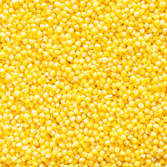 texture of raw millet closeup