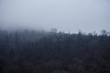 Landscape with beautiful fog in forest on hill or Trail through a mysterious winter forest with autumn leaves on the ground. Road through a winter forest. Magical atmosphere. Azerbaijan