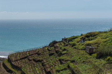 Landscape of green terrace plantation on the cost of the Atlantic Ocean. Funchal, Madeira, the island of eternal spring