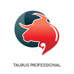 taurus professional logo isolated on white background for your web, mobile and app design