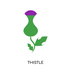 thistle logo isolated on white background for your web, mobile and app design